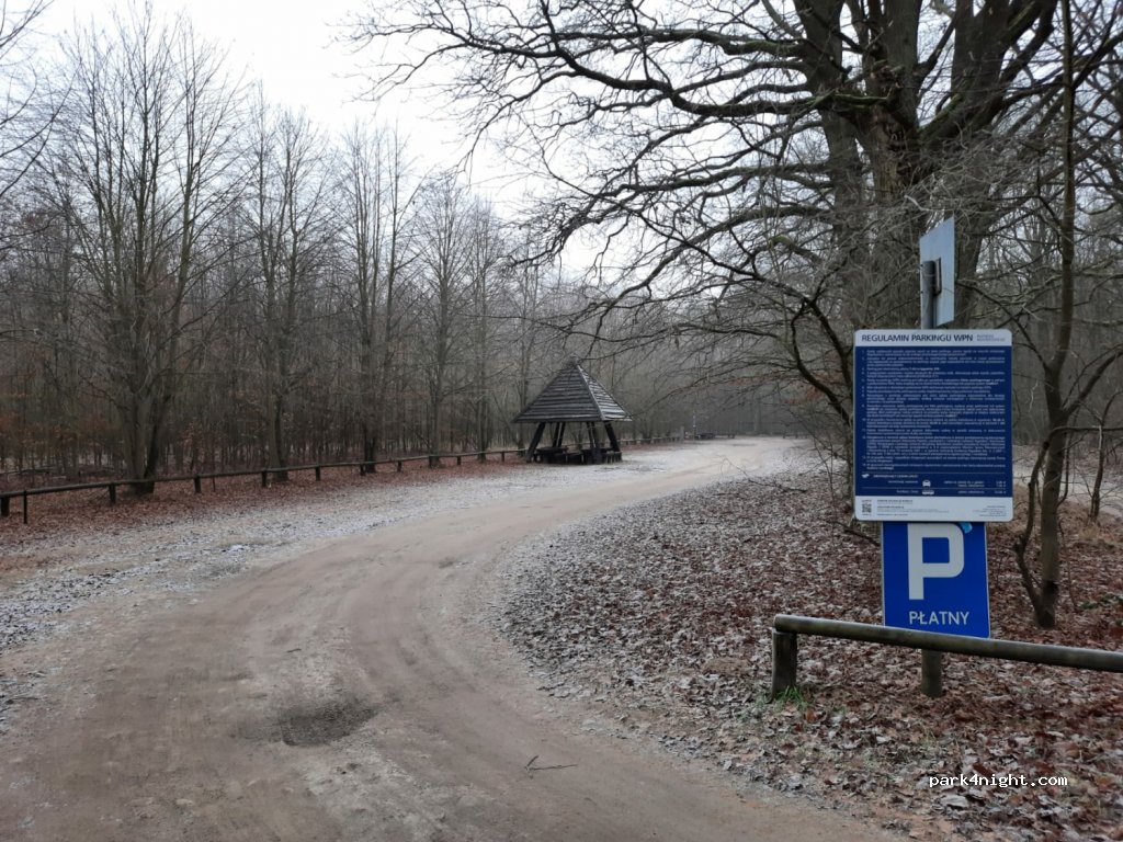 (62-060) Trzebaw - Unnamed Road — foto 2