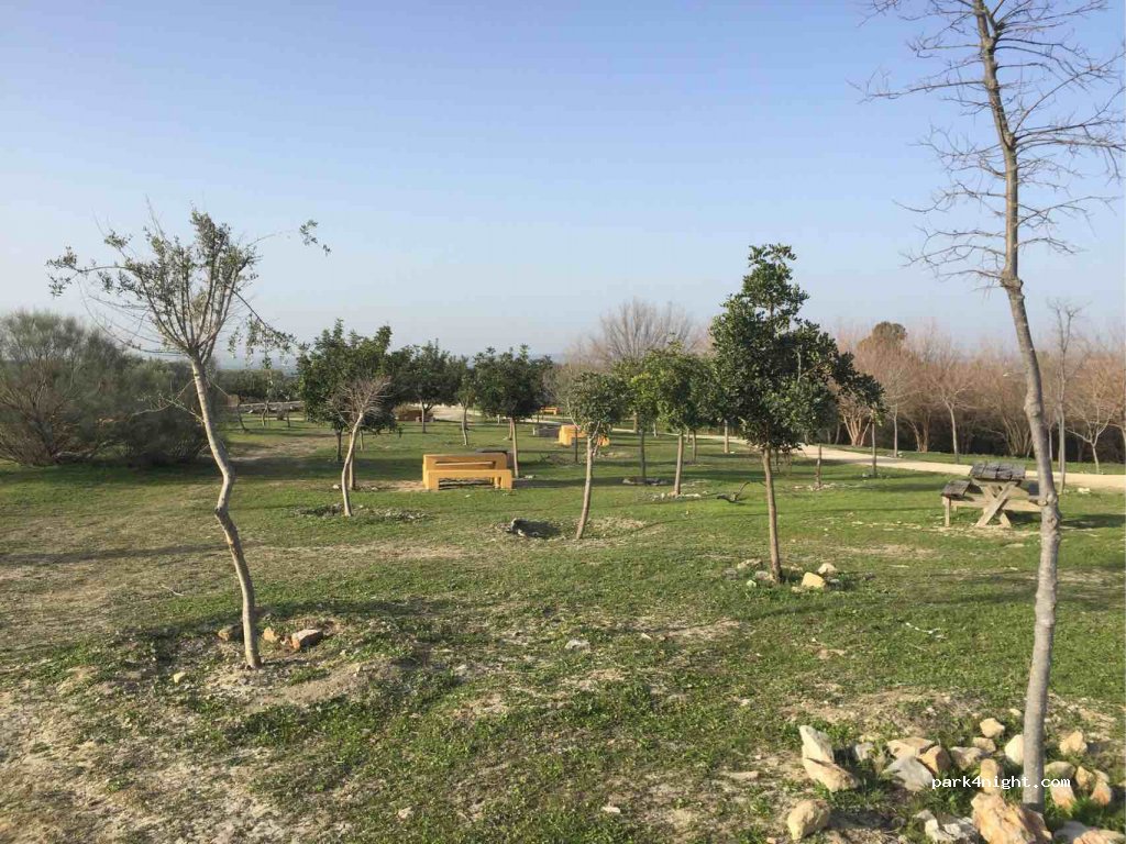 (11650) Villamartin - CA-8101 — foto