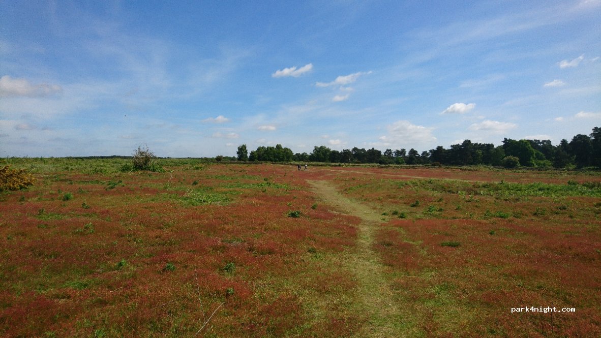 (IP12) Woodbridge - B1083 — foto
