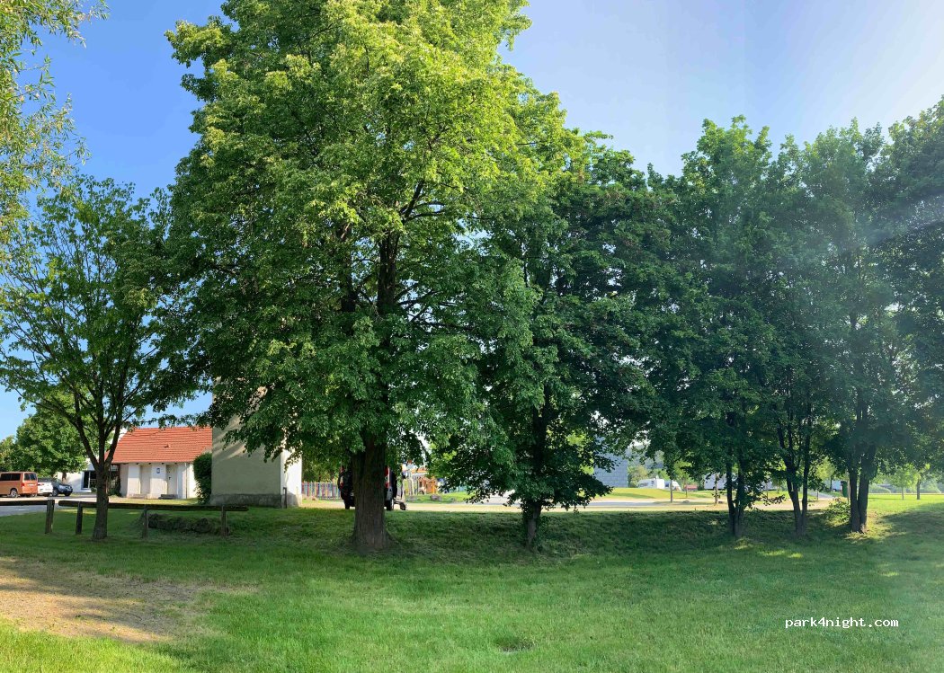 (93466) Chamerau - 1 Kindergartenweg — foto 3