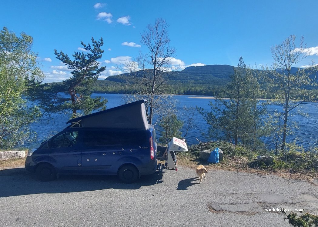(3539 ) Flå - — foto