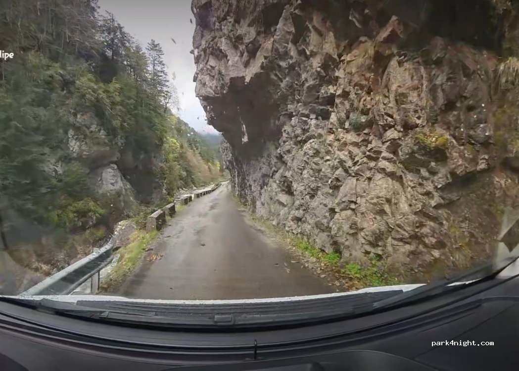 (22790) Valle de Hecho - Pista de la Selva de Oza a la Mina — foto 4
