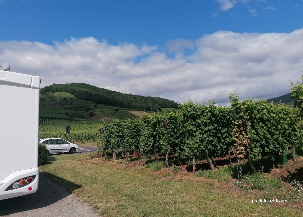 (68770) Ammerschwihr - 1A Route du Vin — foto 3