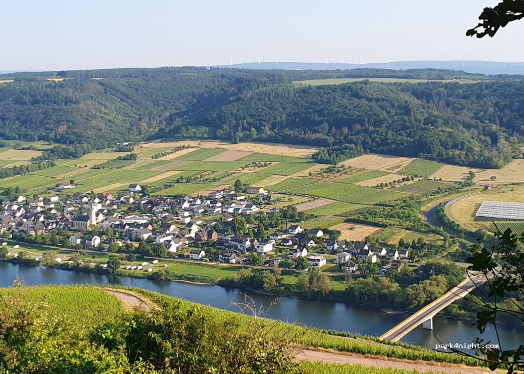 (54538) Kinheim - L58 — foto 4