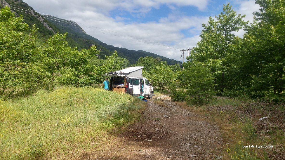 (43060) Mouzaki - Μουζάκι - Ανθηρό — foto 4