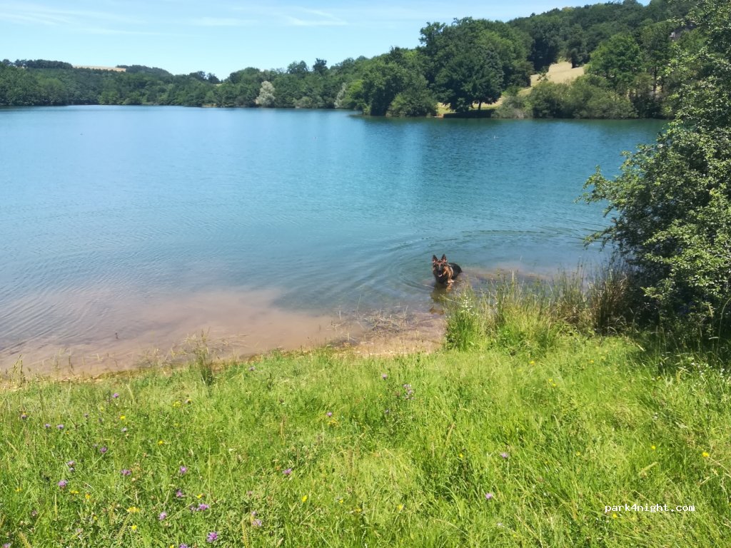 (81120) Saint-Antonin-de-Lacalm - D138 — foto 2