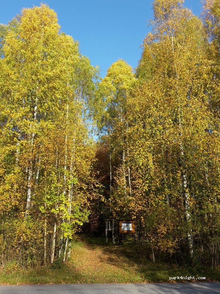 (310 83)  - Kvarnvägen — foto 2