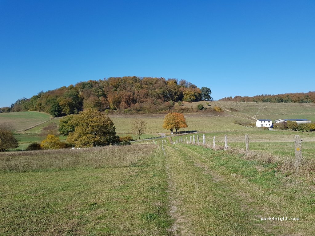 (34388) Trendelburg - 17 Zur Abgunst — foto 2