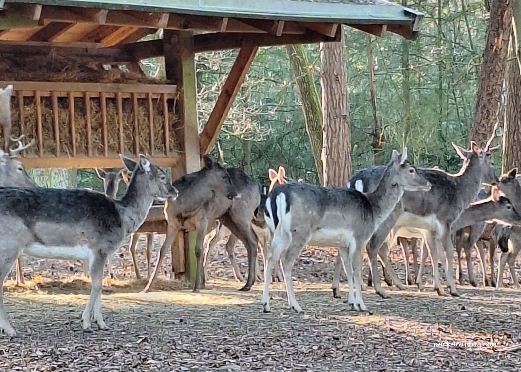 (23879) Mölln - Am Wildpark — foto 4
