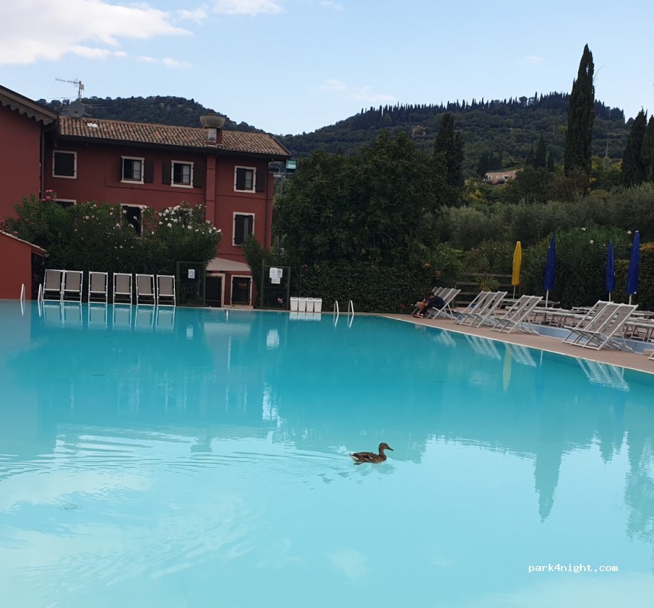 Camping Serenella — foto 2