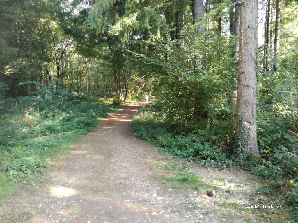 (38690) Torchefelon - 83 Chemin de Becquerieux — foto