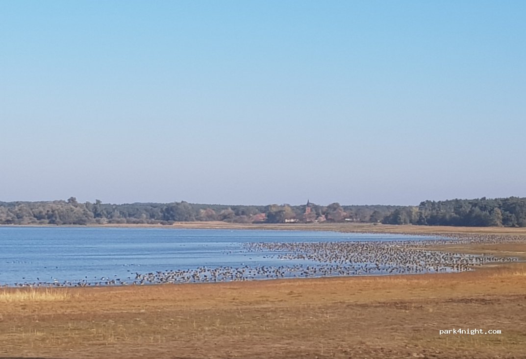 (14715) Havelaue - An der Mühle — foto