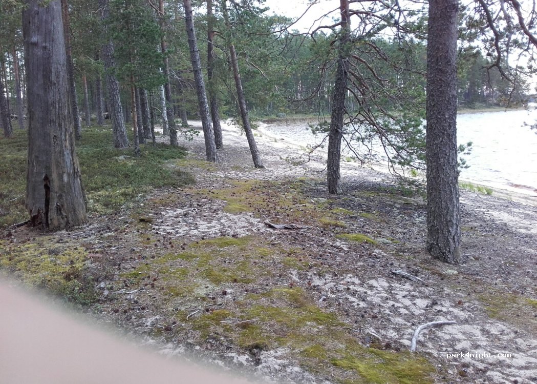 (81650)  - 69 Suomuntie — foto 2