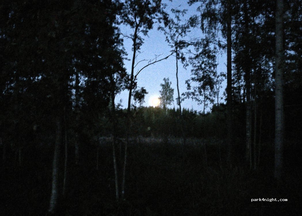 (81650)  - 69 Suomuntie — foto 3