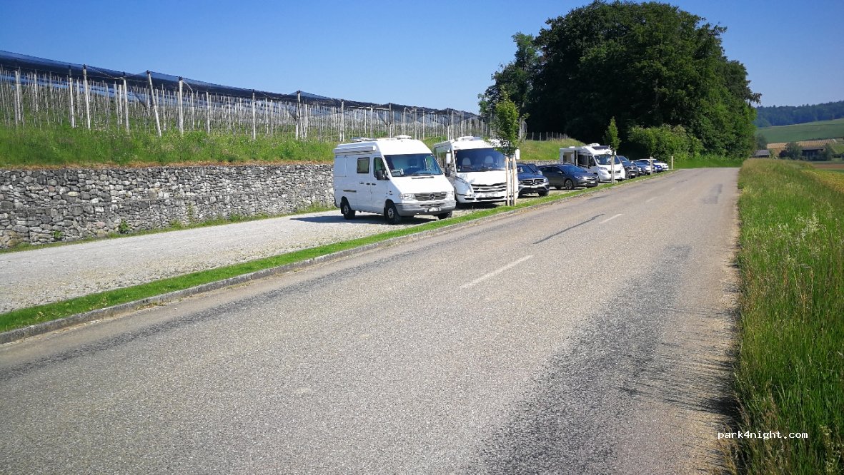 (8477) Oberstammheim - 494 Im Moos — foto