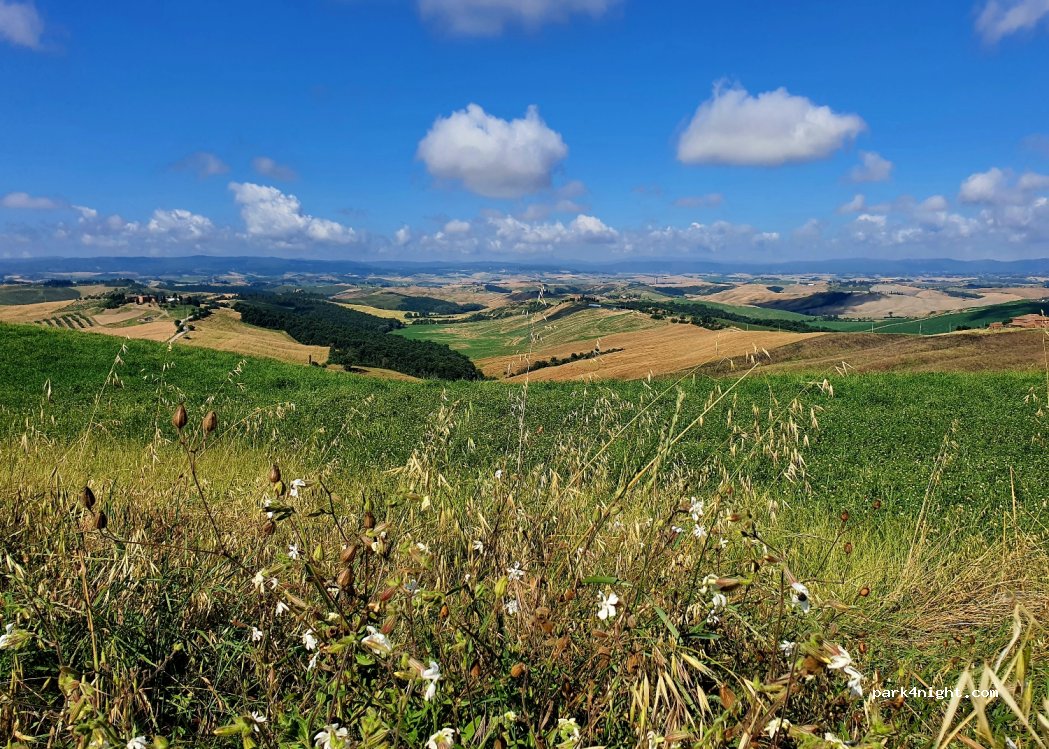 (53041) Asciano - Strada Provinciale 438 — foto 3
