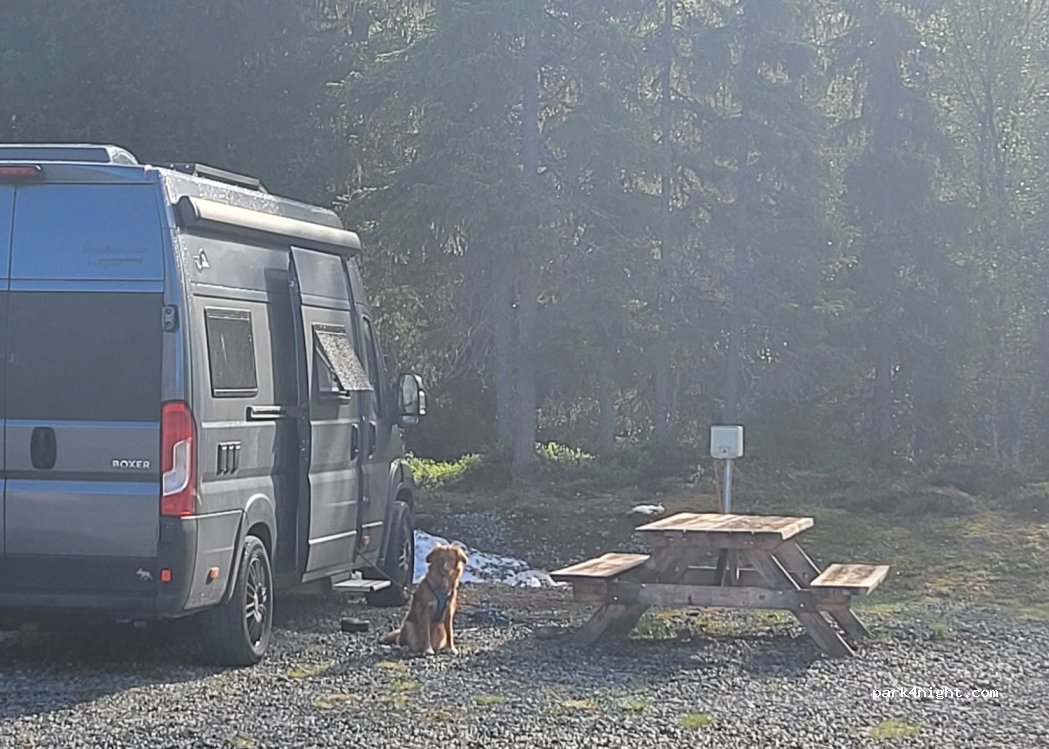 Galå Fjällgård — foto 4
