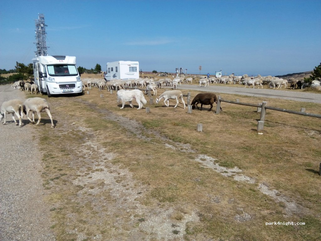 (30570) Valleraugue - D269 — foto 3