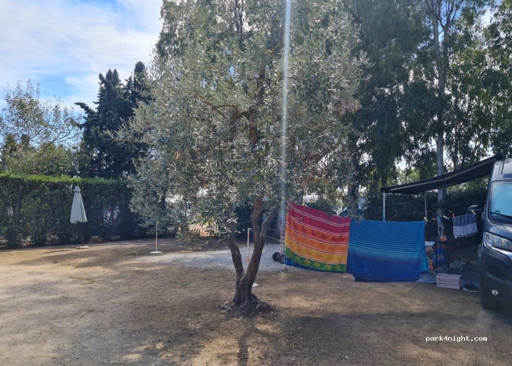 Agricamping Ioniti — foto 4