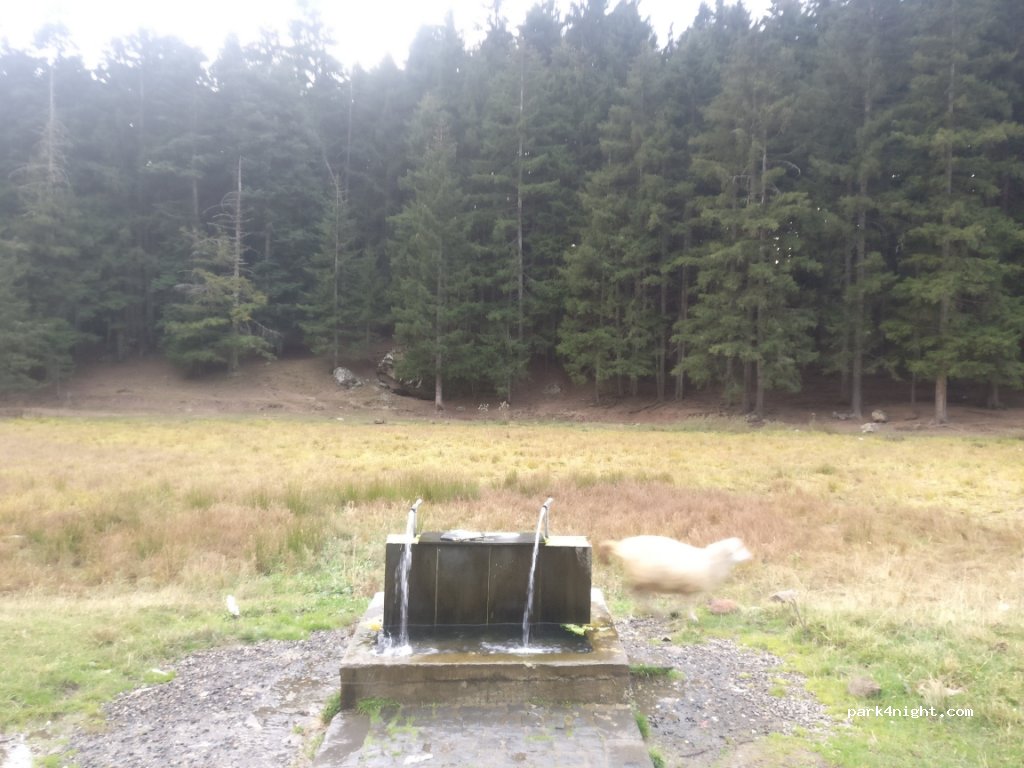 (08790)  - Artvin Ardahan Yolu — foto 2