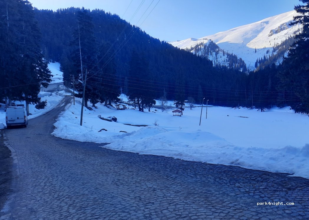 (08790)  - Artvin Ardahan Yolu — foto 3