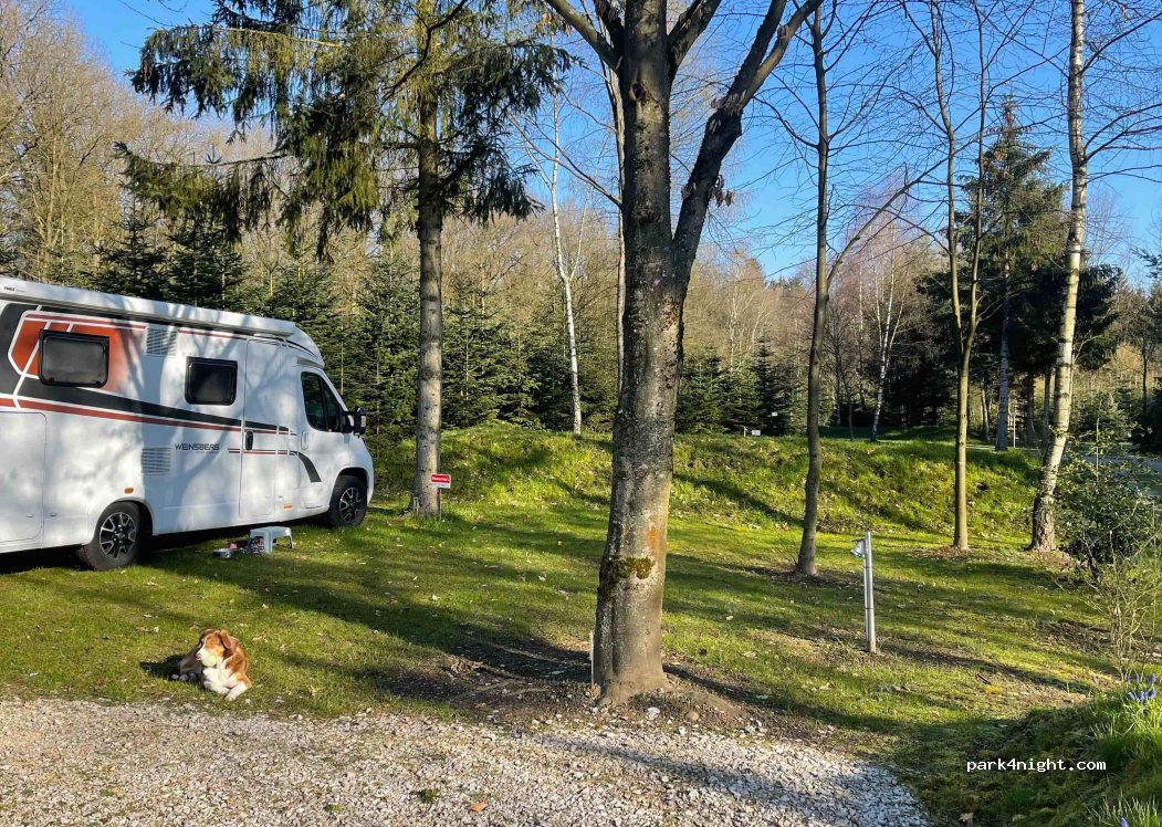Zum Becklinger Holz — foto 2