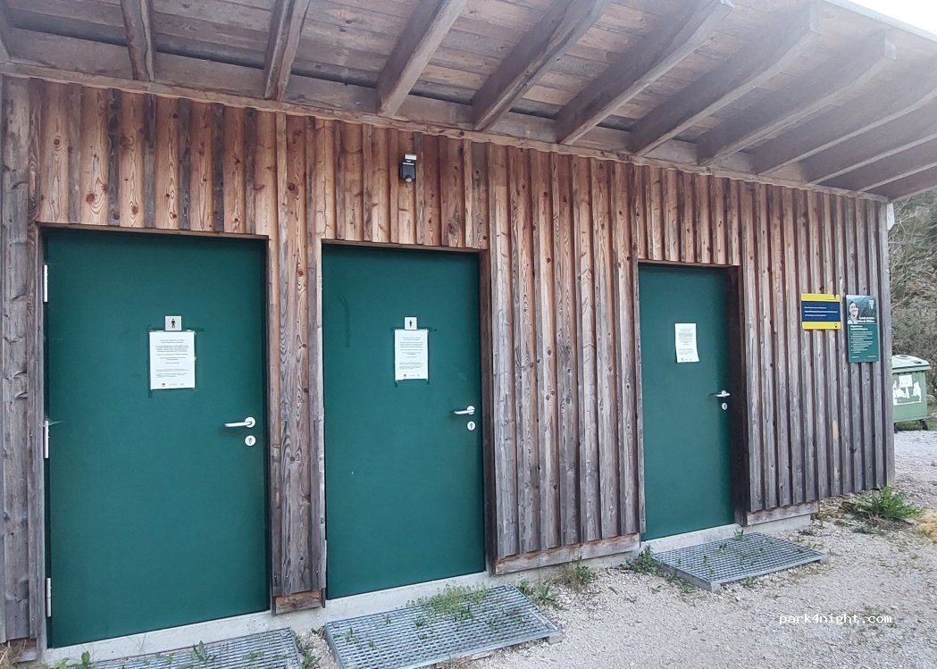 (3223) Langseitenrotte - 80 Langseitenrotte — foto 5