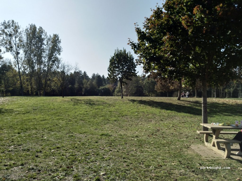 (49260) Brézé - Derrière le Bois — foto 3