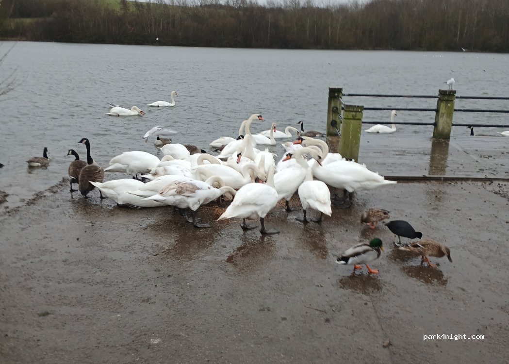 (DH4 7EL) New Herrington - Chester Road — foto 5