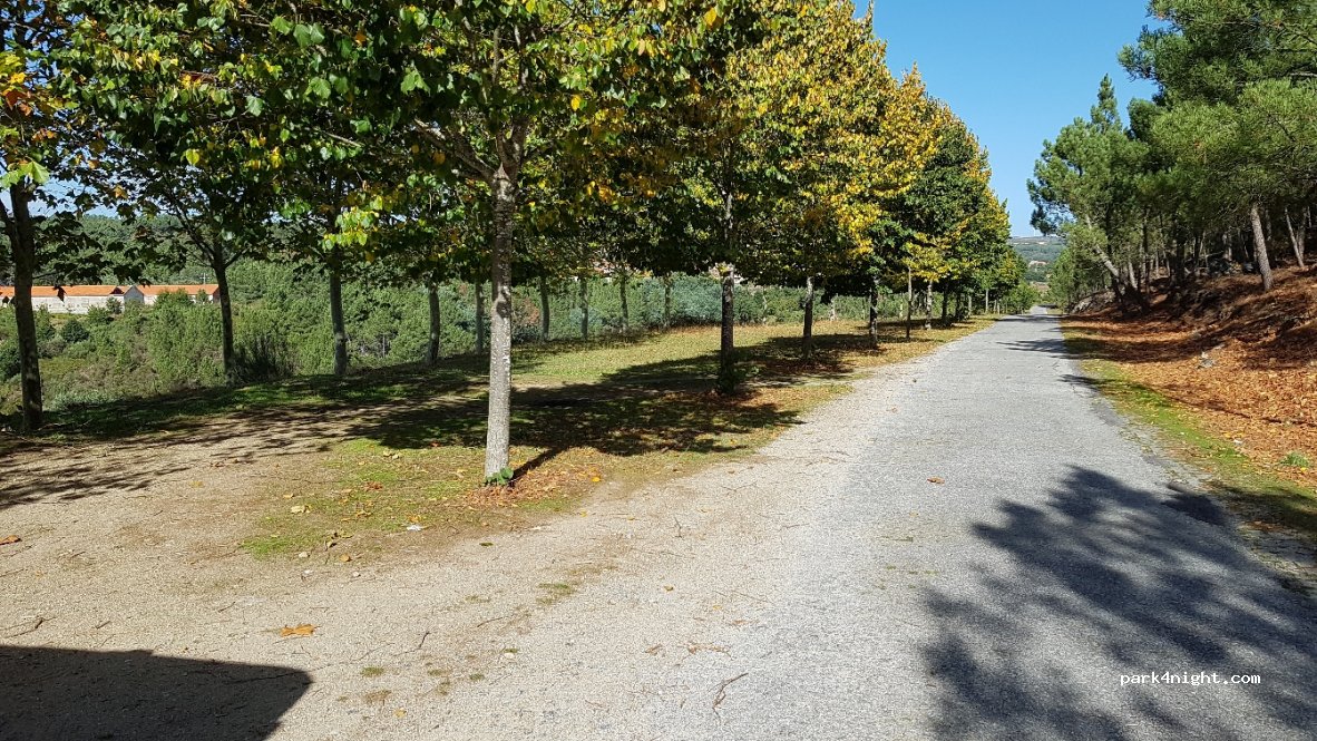 (3650) Coelheira - Unnamed Road — foto 2
