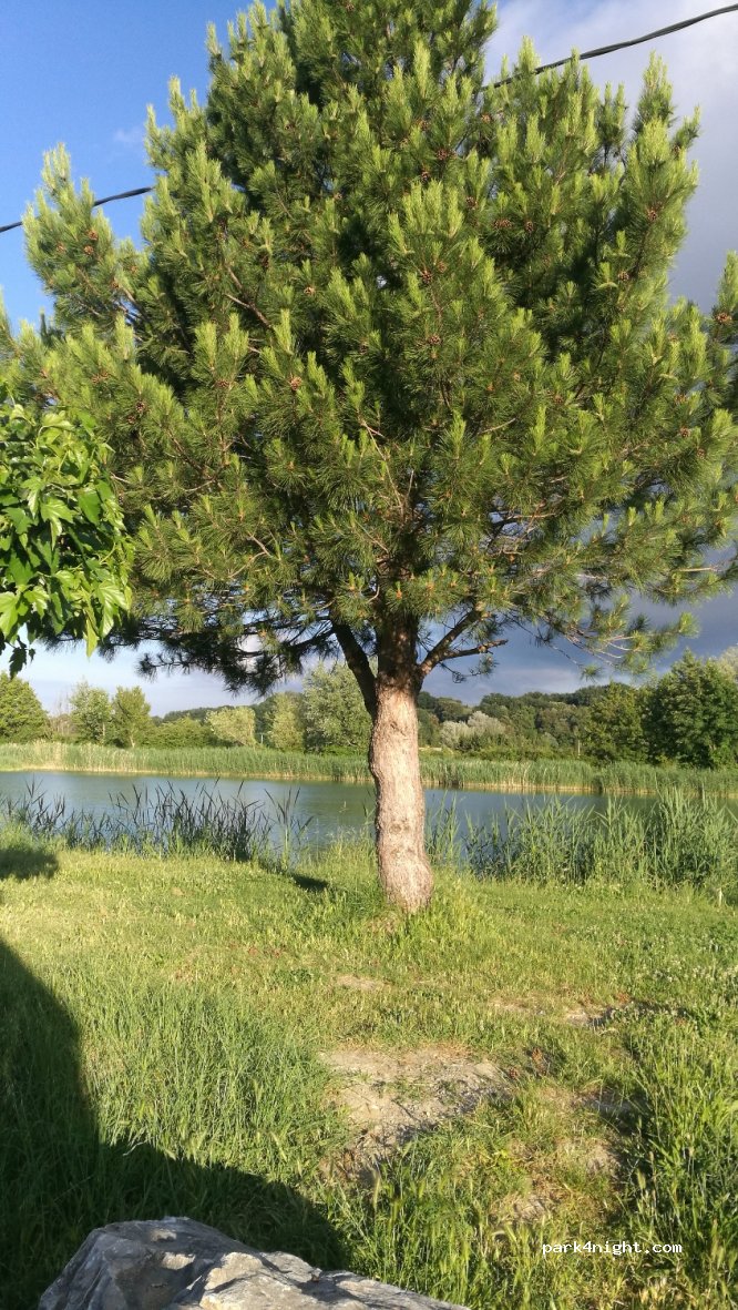 (84600) Grillon - Route de Taulignan — foto 2