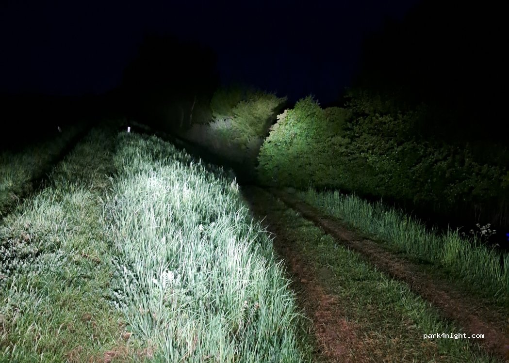 (26-900) Kozienice - Kępeczki — foto 4