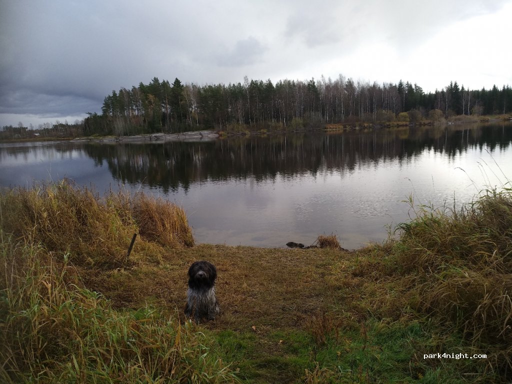 (46910) Kouvola - 381 Huhdanniementie — foto 4