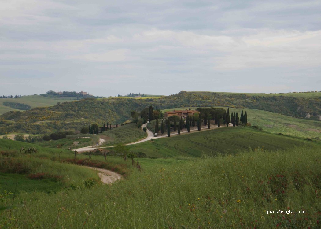 (53026) Pienza - — foto 4