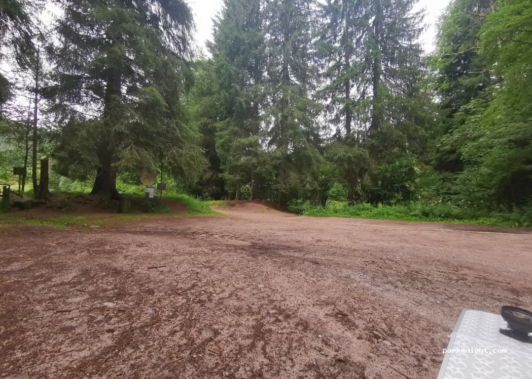 (88400) Gérardmer - 113 Chemin de Sapois — foto