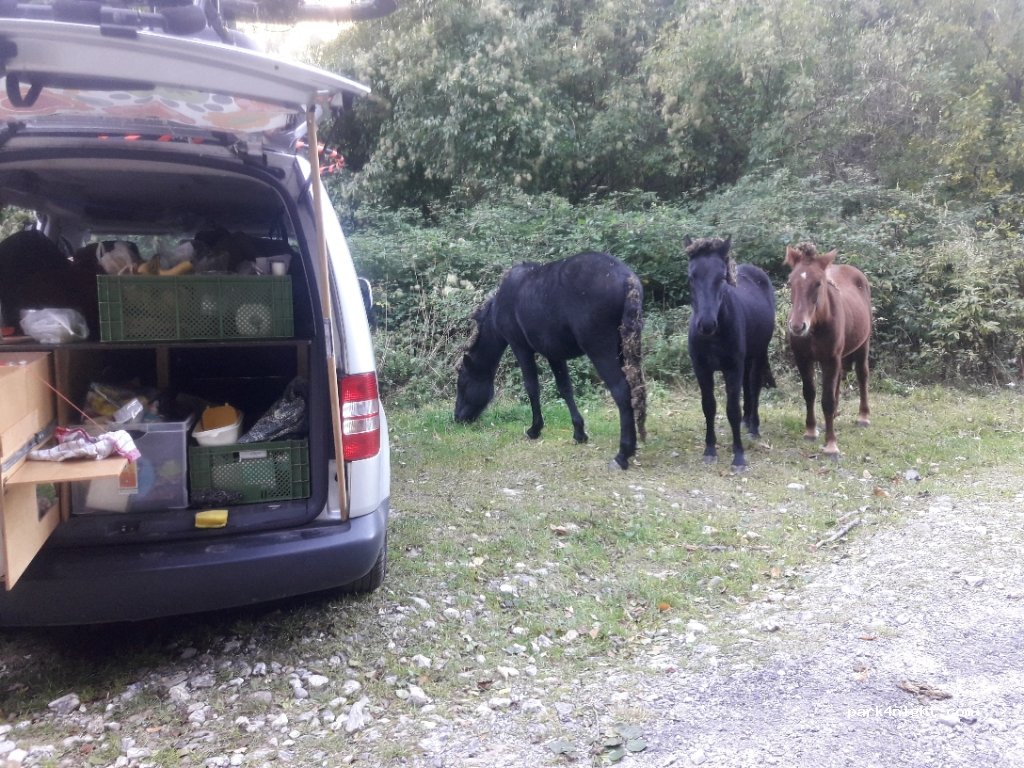 (54013) Fivizzano - Via Tedeschi — foto 3