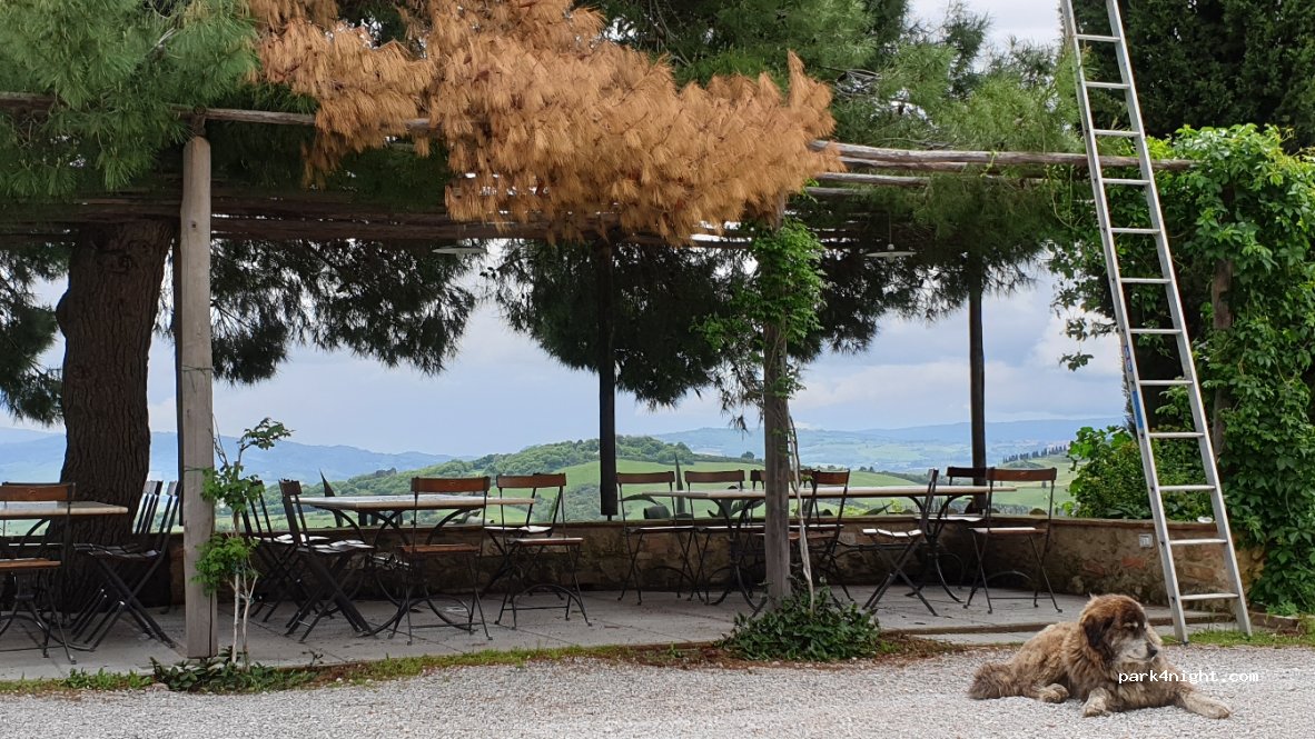 Camping Podere il Casale — foto
