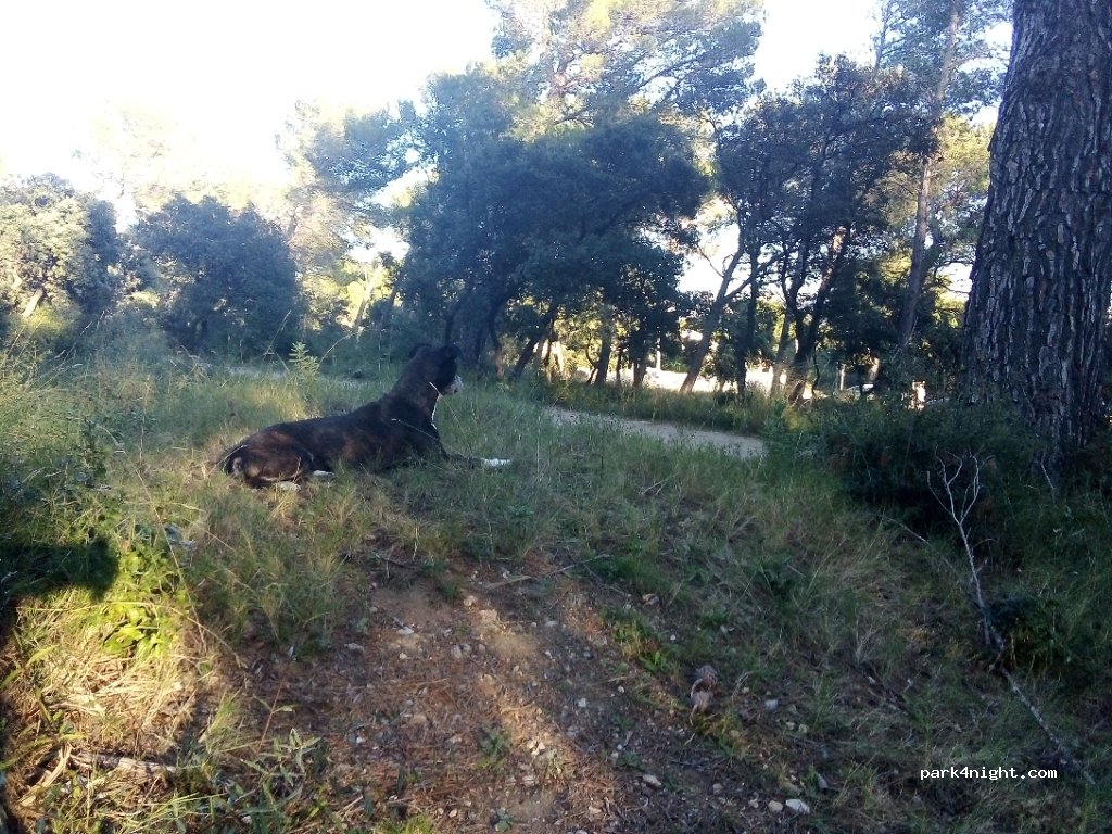 (13113) Lamanon - 59 D23 — foto 3