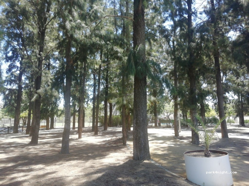 (11405) Jerez de la Frontera - 7 Plaza los Pinos — foto 4