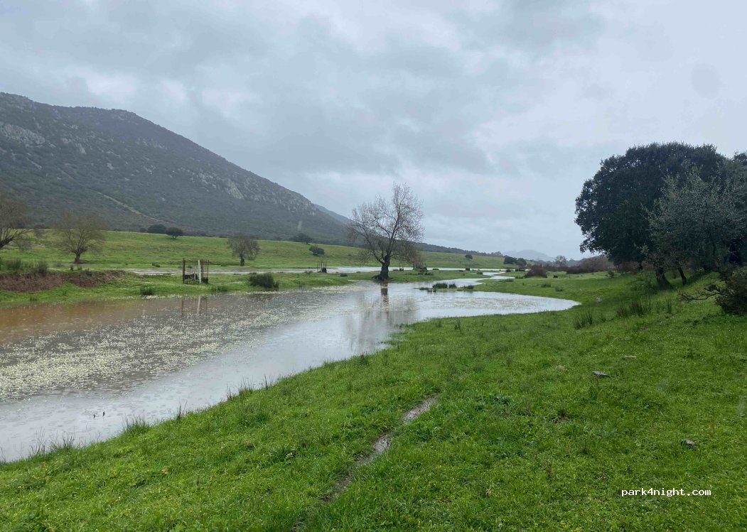 (13109) Puebla de Don Rodrigo - Unnamed Road — foto 3