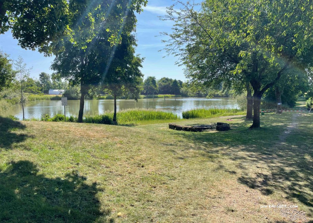 (97996) Niederstetten - 73 Rinderfeld — foto 5
