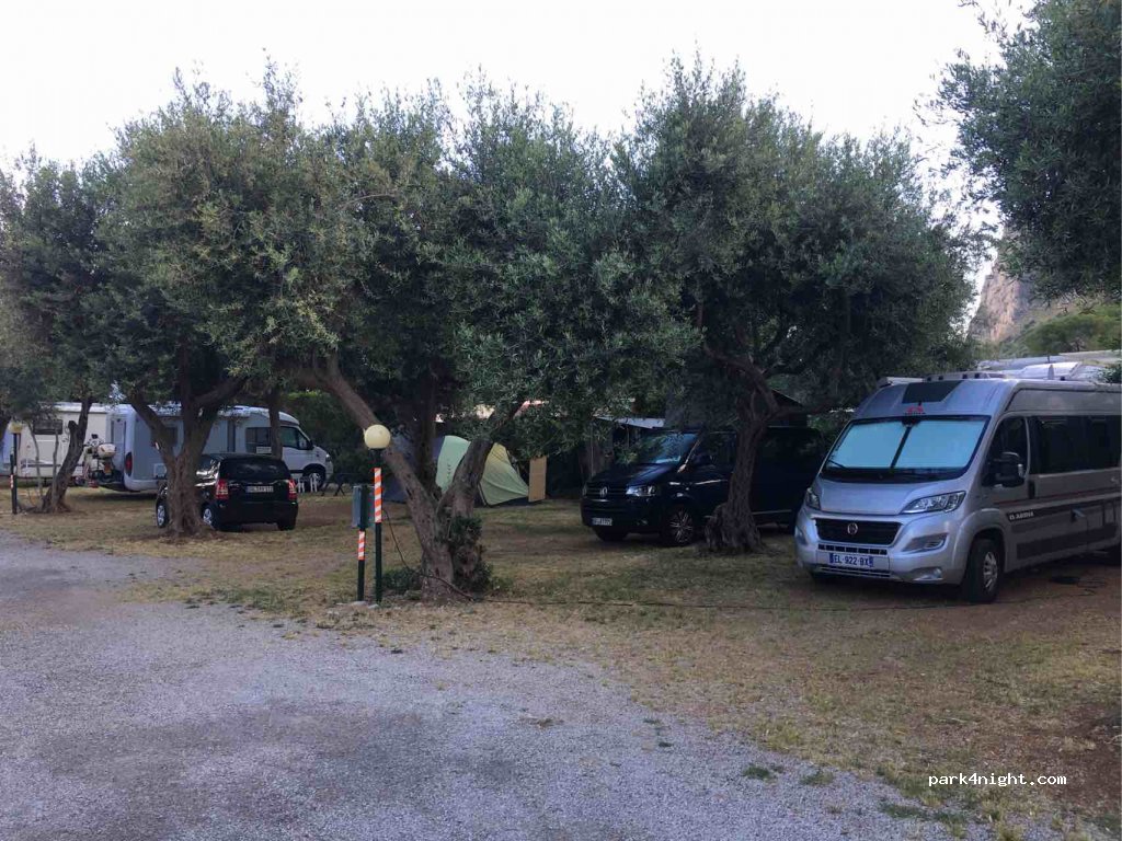 Camping Degli Ulivi — foto 3
