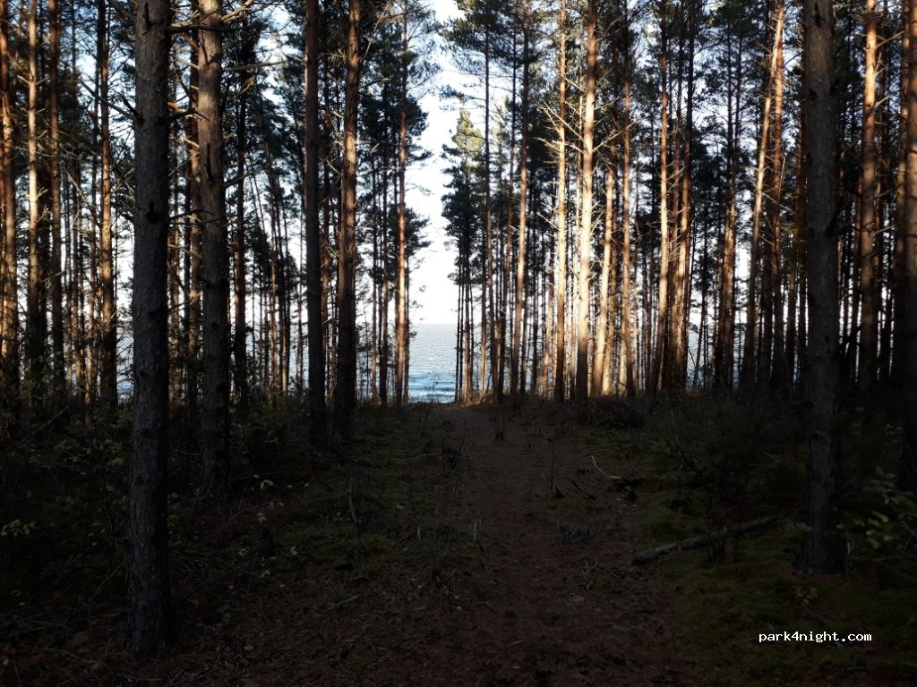 (94612) Pulli - — foto