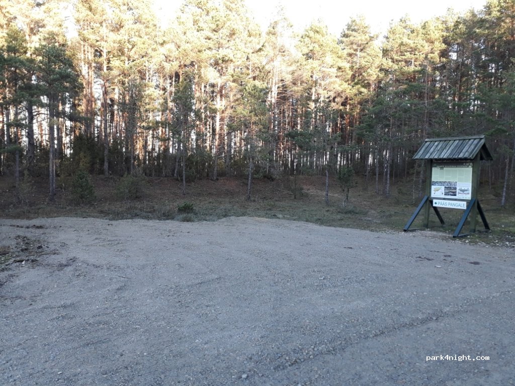 (94612) Pulli - — foto 2