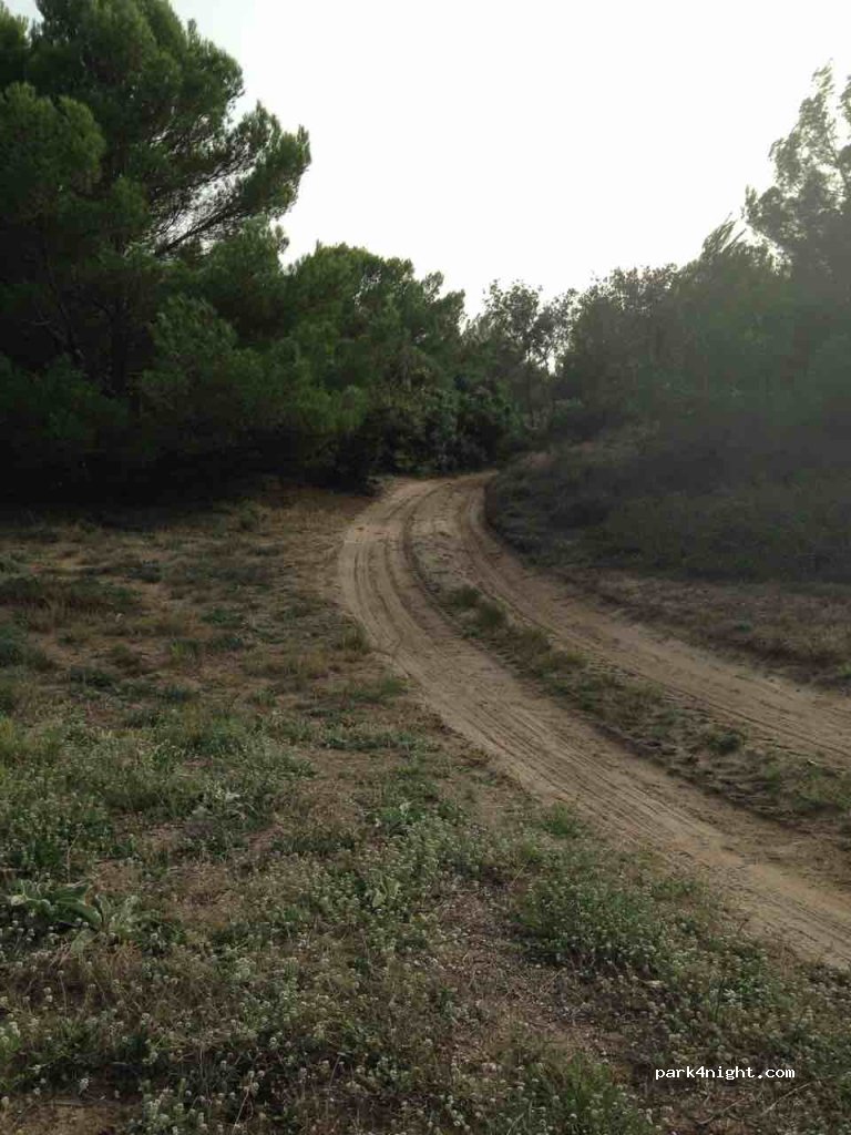 (71010) Lesina  - Unnamed Road — foto