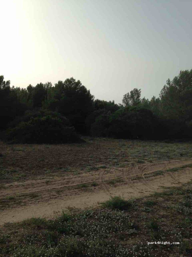 (71010) Lesina  - Unnamed Road — foto 2