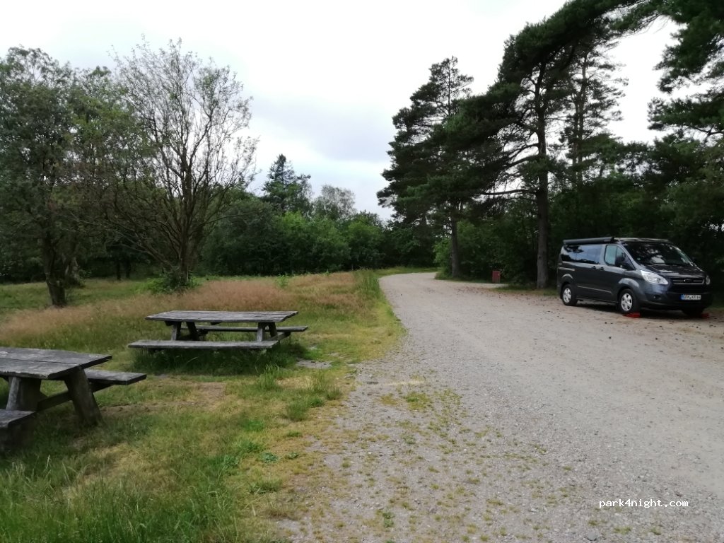(7250) Hejnsvig - — foto 3