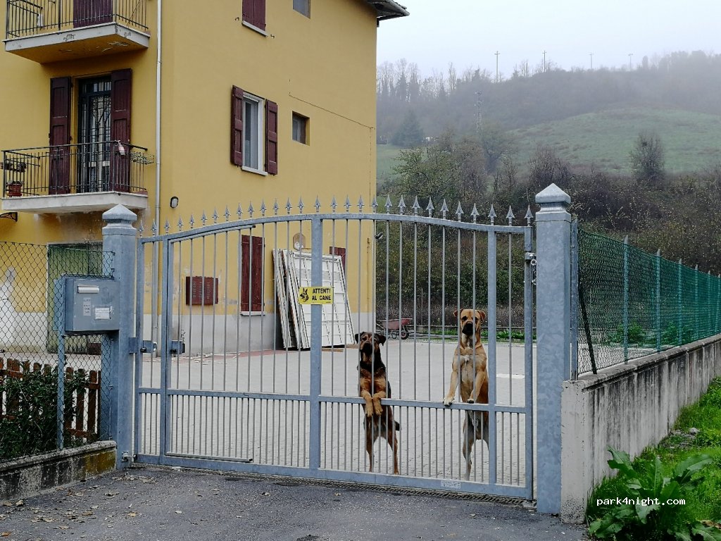 (40050) Monte San Pietro - 369 SP 26 — foto 2