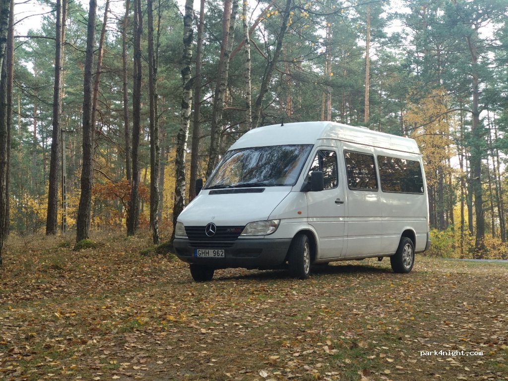 (89-511) Zalesie - — foto