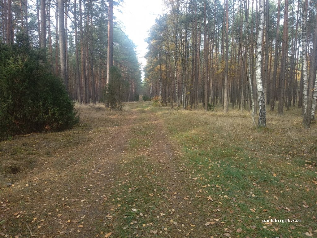 (89-511) Zalesie - — foto 2